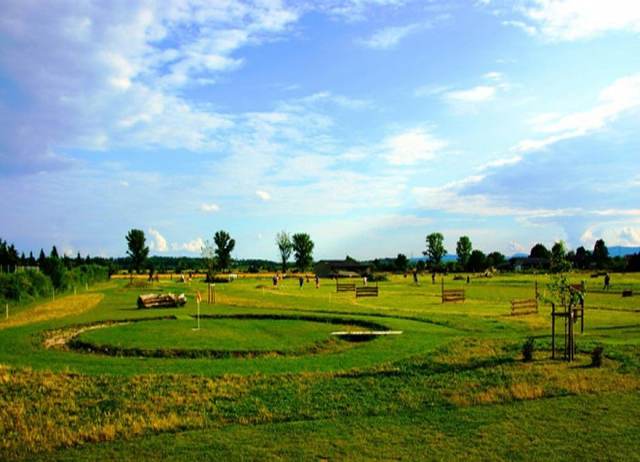 Vereinsleben